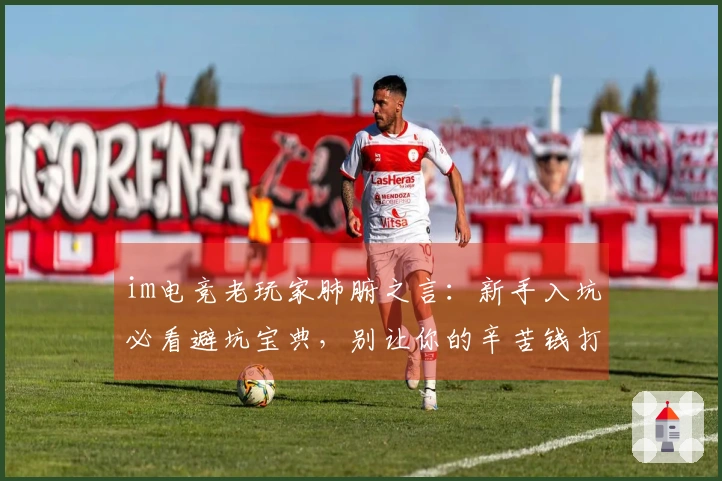 im电竞老玩家肺腑之言：新手入坑必看避坑宝典，别让你的辛苦钱打水漂！