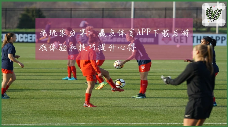 老玩家分享：赢点体育APP下载后游戏体验和技巧提升心得