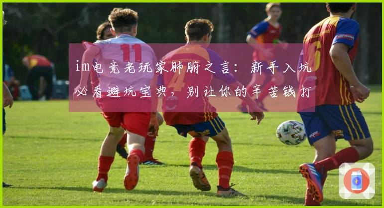 im电竞老玩家肺腑之言：新手入坑必看避坑宝典，别让你的辛苦钱打水漂！